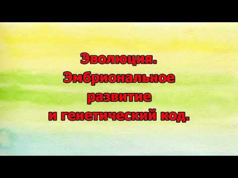 15. Эволюция. Эмбриональное развитие и генетический код смотреть онлайн
