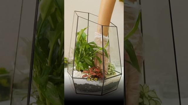 Опыт мой и кураторов,понятные уроки, помогаем монетизировать хобби и создать бизнес. Ссылка в канал смотреть онлайн