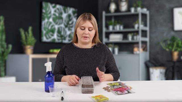 Петуния смотреть онлайн