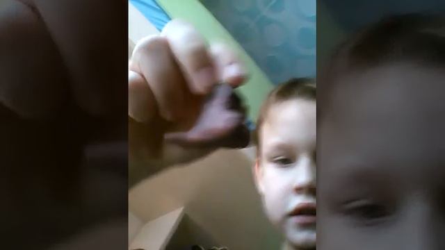 Мои поделки из пластилина своими руками смотреть онлайн