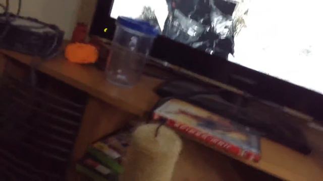 Skyrim Kitty abuse смотреть онлайн