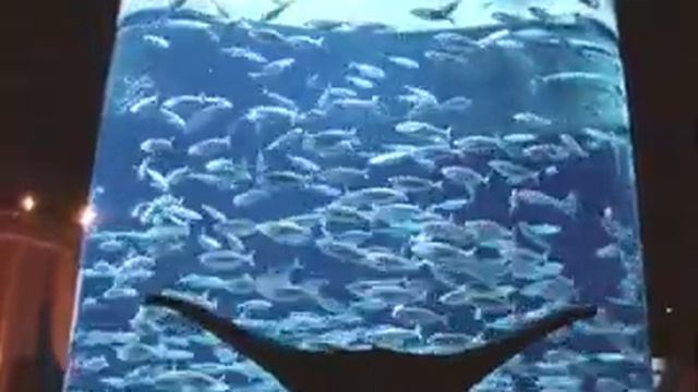 Atlantis - The Palm смотреть онлайн