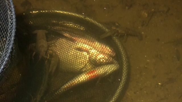 2 серия. Рыбалка с тремя ночёвками. Попали на жор окуня, поймали крупного жереха. Рыбалка мечты смотреть онлайн