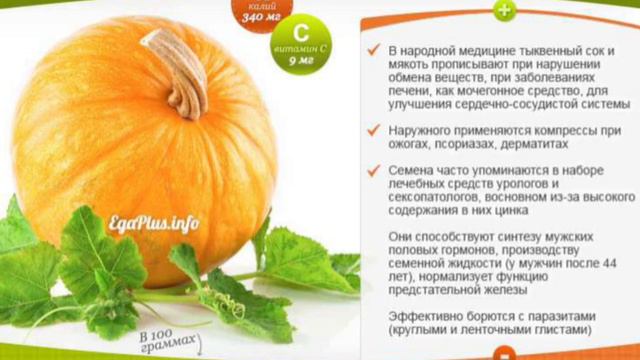 В # Узбекистане # растут # очень # вкусные # богатый # витаминами # лечебный # тыквы # смотреть онлайн
