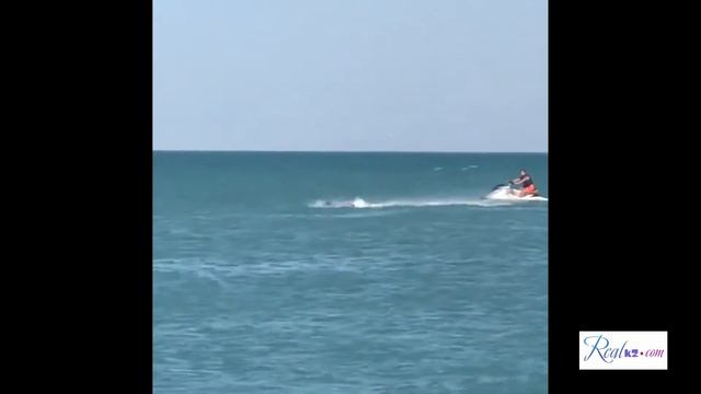 База Отдыха Эдем на Алаколе смотреть онлайн
