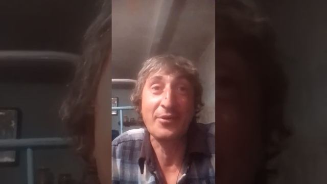 песня на стихи Владимира Нежного.кормлении лошади с рук смотреть онлайн