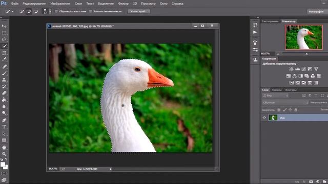 Как вырезать изображение в Photoshop смотреть онлайн