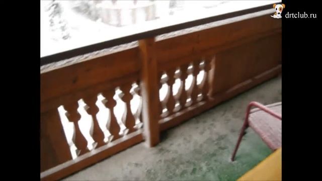 Джек в Альпах. Циллерталь. Лангенфельд (Австрия) смотреть онлайн