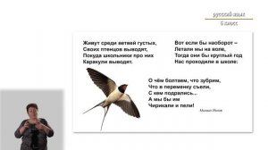 6-класс | Русский язык | Знаки препинания в сложном предложении