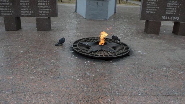 Замерзшие голуби греются у Вечного огня смотреть онлайн