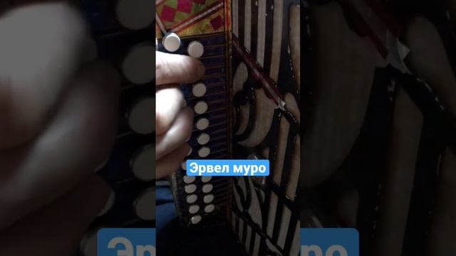 Мелодия восточных мари? #марийцы#мариймуро#марийгармонь#гармошка смотреть онлайн