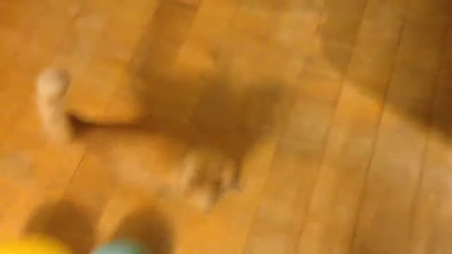 Как Я Ласкаю Свою Киску смотреть онлайн