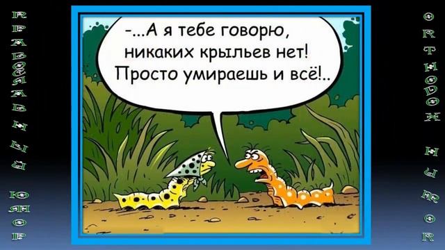 Православный юмор. Orthodox Humor