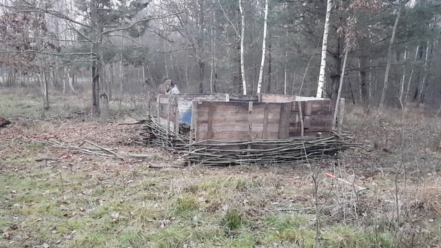 Наводим красоту на хуторе .Плетень своими руками из подножного материала. Бабка в печи . смотреть онлайн