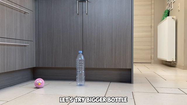 Puppy Surprised with WEIRD TOYS * Funny Reactions* смотреть онлайн