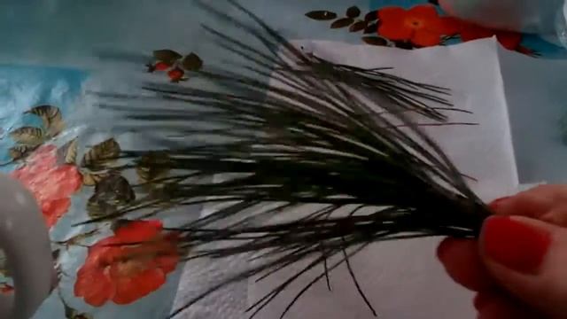 Чай из иголок сосны кедровой на огороде . Кора кедра пахнет лимоном. смотреть онлайн