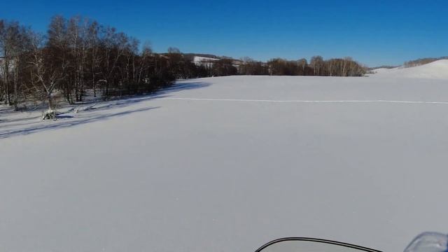 Встретили Лосей и Косуль, зимний лес! смотреть онлайн