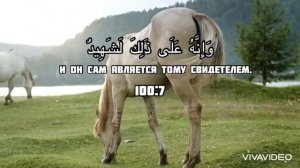 Сура 100 Аль-Адийат(Скачущие), чтец: Арби Аш-Шишани
