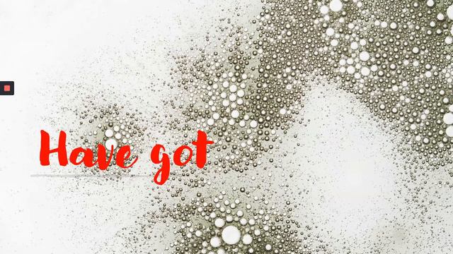 How To Form HAVE GOT, Affirmative, Negative, Interrogative #havegot#have #grammar #tenses #teaching