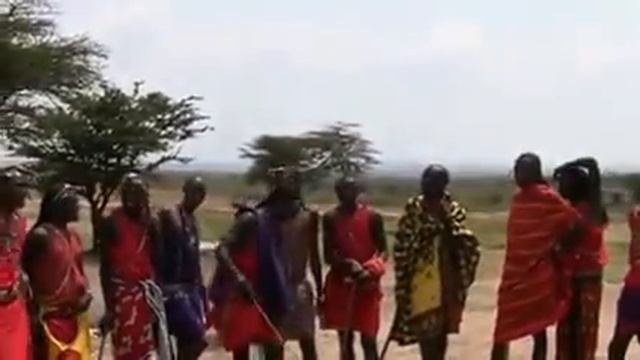 Танец племени Масаи / Maasai Warrior Dance (Kenya) смотреть онлайн