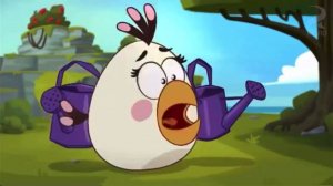 Angry Birds Toons: Shrub It In (Funny Voice Over)