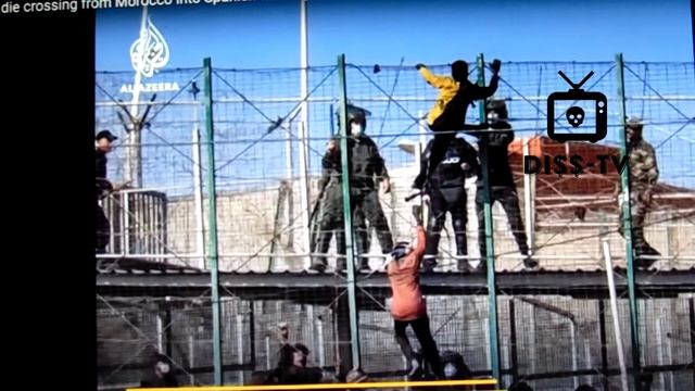 ? What?! / React #Afircans[ #moroccan Border Crisis ? ???⛓?? [ смотреть онлайн