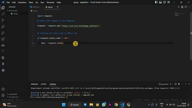 How to use API in Python | API in Python смотреть онлайн