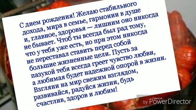 Тост поздравление друга с Днём рождения/ Поздравляет Рома/ Тосты ко Дню рождения/ Книга счастья смотреть онлайн
