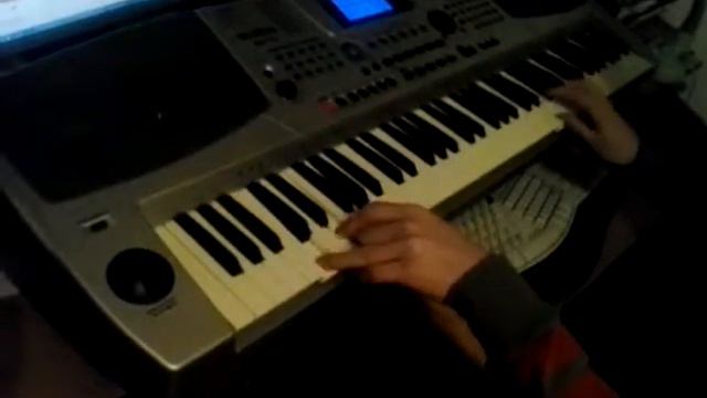 Hora Basarabiei orga Medeli Mc-710 смотреть онлайн