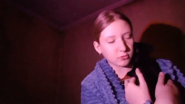 ВОПРОС-ОТВЕТ:Обо мне,Did you buy a dog?🫐🧊//Ankvibe💫 смотреть онлайн