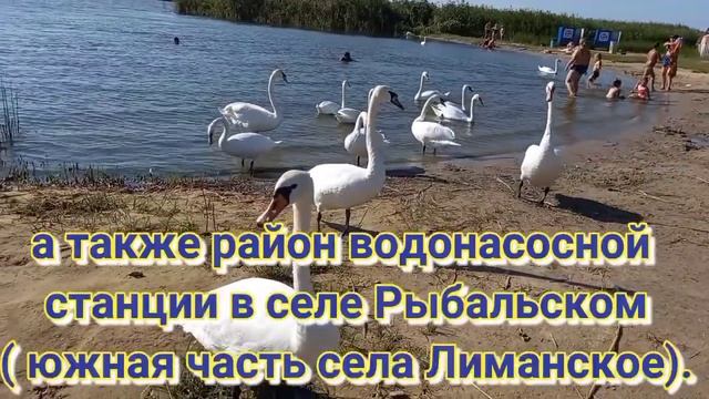 Кучурганский лиман. Одесская область. смотреть онлайн
