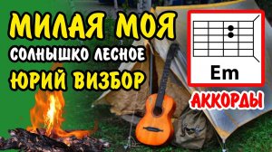 МИЛАЯ МОЯ (СОЛНЫШКО ЛЕСНОЕ) ЮРИЙ ВИЗБОР - ПРОСТАЯ ПЕСНЯ НА ГИТАРЕ (АККОРДЫ БЕЗ БАРРЭ + БОЙ) COVER ?
