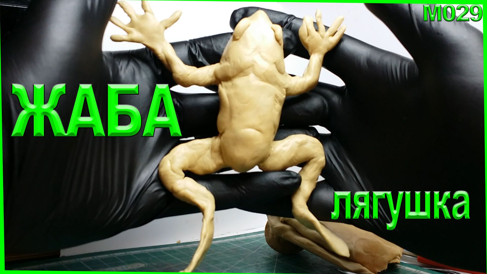 Лепка из пластилина. Животные лепка жабы. Жаба из пластилина лягушка. Земноводные. смотреть онлайн