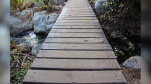 Деревянные дорожки в саду - фото идеи оформления