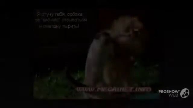 Юмор в картинках смотреть онлайн