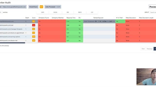 Quick SEO Audits To Get Clients - Shine Ranker Software смотреть онлайн