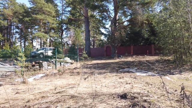 Прогулка к берегу реки Волга. 08.04.2023 год. Тверь. смотреть онлайн