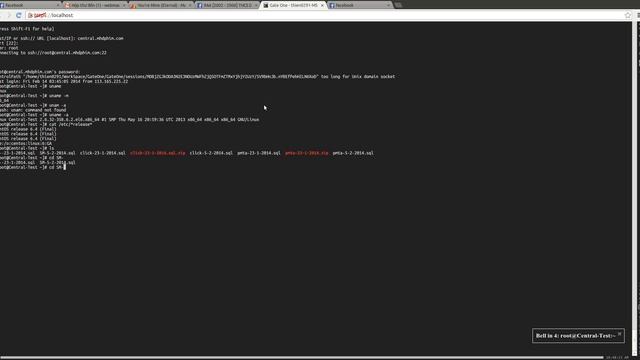 Web base Terminal (SSH Web Service) смотреть онлайн