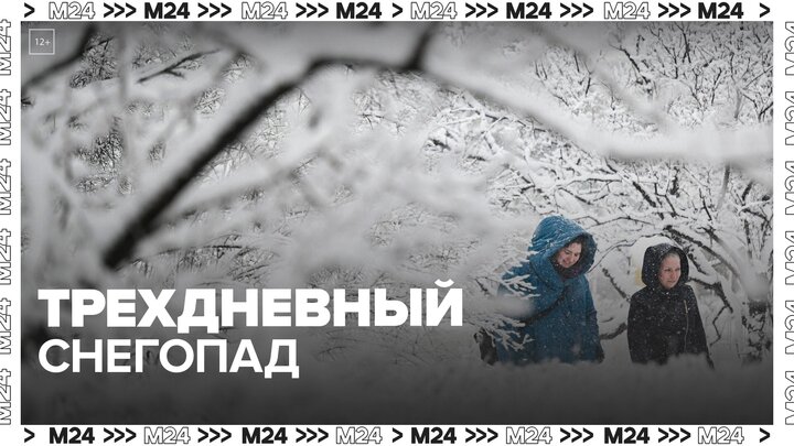 Москвичей предупредили о трехдневном снегопаде - Москва 24