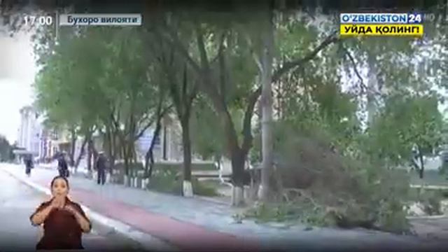 Президент Шавкат Мирзоев бухоро вилоятида смотреть онлайн