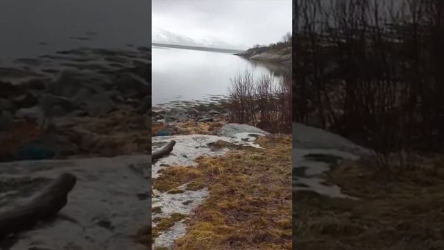 Мы не любим сидеть дома. Немного Норвегии. смотреть онлайн