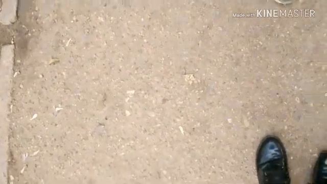 #Только лучшая подруга поймёт тебя#