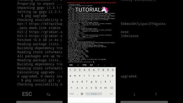 English & Hindi language BOT | How to make whatsapp bot ?| Whatsapp bot kaise banaye? | BOT pakhi v смотреть онлайн