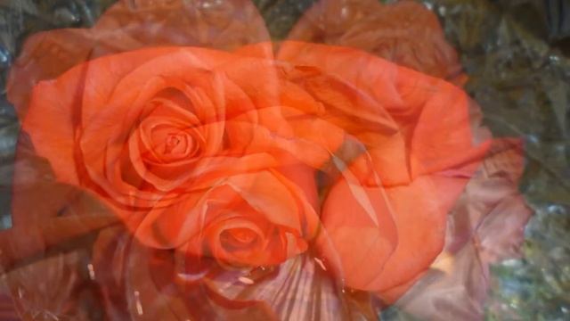 ТАНЕЦ АЛЫХ РОЗ. РЕЛАКС. DANCE OF RED ROSES. RELAX. смотреть онлайн