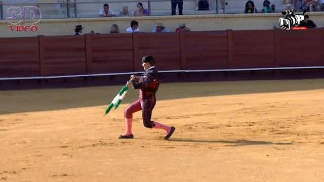 Коррида. Что такое Коррида?  Готовность быка к схватке!