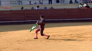 Коррида. Что такое Коррида?  Готовность быка к схватке!