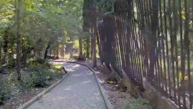 Прогулка по «Солнечной тропе», Крым смотреть онлайн