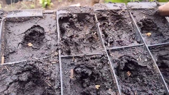 Фурор и Кураж Жесткая посадка Кузи смотреть онлайн
