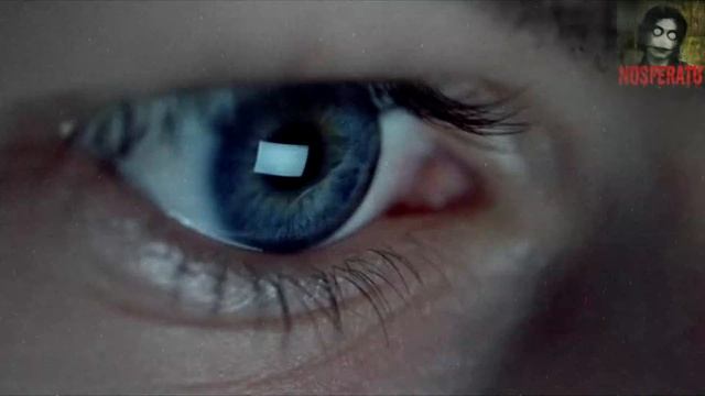 Истории на ночь - Интернет-опрос