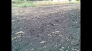 Посев люцерки сз-3.6 и мтз-80